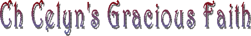 Ch Celyn's Gracious Faith