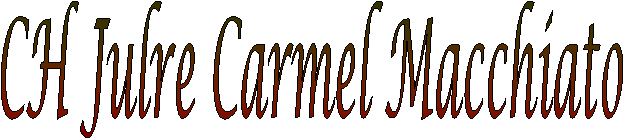 CH Julre Carmel Macchiato