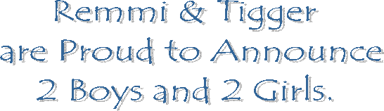 Remmi & Tigger
 are Proud to Announce
 2 Boys and 2 Girls. 